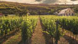 &Gamma;&epsilon;&omega;&rho;&gamma;&iota;&kappa;έ&sigmaf; &Pi;&rho;&omicron;&epsilon;&iota;&delta;&omicron;&pi;&omicron;&iota;ή&sigma;&epsilon;&iota;&sigmaf; &gamma;&iota;&alpha; &tau;&omicron; &Alpha;&mu;&pi;έ&lambda;&iota;