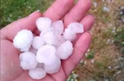 &Pi;&alpha;&lambda;&alpha;ί&phi;&upsilon;&tau;&omicron; &nu;&omicron;&mu;&omicron;ύ &Pi;έ&lambda;&lambda;&alpha;&sigmaf;