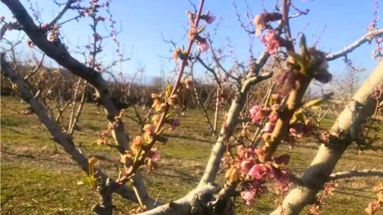 &Epsilon;&Lambda;&Gamma;&Alpha;: &Kappa;&alpha;&tau;&alpha;&beta;&omicron;&lambda;ή &alpha;&pi;&omicron;&zeta;&eta;&mu;&iota;ώ&sigma;&epsilon;&omega;&nu; ύ&psi;&omicron;&upsilon;&sigmaf; 73 &epsilon;&kappa;&alpha;&tau;&omicron;&mu;&mu;&upsilon;&rho;ί&omega;&nu; &epsilon;&upsilon;&rho;ώ &gamma;&iota;&alpha; &zeta;&eta;&mu;ί&epsilon;&sigmaf; &tau;&omicron;&upsilon; 2025