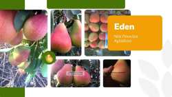 &Sigma;&upsilon;&mu;&beta;&omicron;&lambda;&alpha;&iota;&alpha;&kappa;ή &gamma;&epsilon;&omega;&rho;&gamma;ί&alpha;: &Tau;&epsilon;&rho;ά&sigma;&tau;&iota;&omicron; &epsilon;&nu;&delta;&iota;&alpha;&phi;έ&rho;&omicron;&nu; &gamma;&iota;&alpha; &tau;&omicron; &Phi;&rho;&omicron;ύ&tau;&omicron; &alpha;&upsilon;&tau;ό!