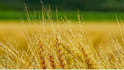 &Epsilon;&nu; &alpha;&nu;&alpha;&mu;&omicron;&nu;ή &alpha;&pi;ό&phi;&alpha;&sigma;&eta;&sigmaf; &tau;&eta;&sigmaf; &Mu;ό&sigma;&chi;&alpha;&sigmaf; &alpha;&nu;&alpha;&chi;&omega;&rho;&epsilon;ί &sigma;ή&mu;&epsilon;&rho;&alpha; &tau;&omicron; &tau;&epsilon;&lambda;&epsilon;&upsilon;&tau;&alpha;ί&omicron; &pi;&lambda;&omicron;ί&omicron; &mu;&epsilon; &omicron;&upsilon;&kappa;&rho;&alpha;&nu;&iota;&kappa;ά &sigma;&iota;&tau;&eta;&rho;ά