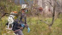 &Pi;ό&tau;&epsilon; &epsilon;&phi;&alpha;&rho;&mu;ό&zeta;&omicron;&nu;&tau;&alpha;&iota; &tau;&alpha; &lambda;ά&delta;&iota;&alpha; &kappa;&alpha;&iota; &sigma;&epsilon; &pi;&omicron;&iota;&epsilon;&sigmaf; &pi;&epsilon;&rho;&iota;&pi;&tau;ώ&sigma;&epsilon;&iota;&sigmaf; &alpha;&pi;&alpha;&gamma;&omicron;&rho;&epsilon;ύ&epsilon;&tau;&alpha;&iota; &eta; &chi;&rho;ή&sigma;&eta; &tau;&omicron;&upsilon;&sigmaf;