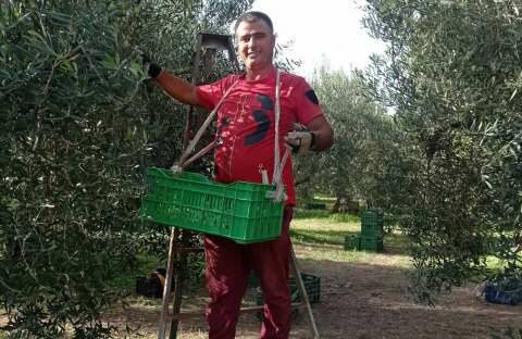 &Pi;&rho;ό&sigma;&kappa;&lambda;&eta;&sigma;&eta; &sigma;&upsilon;&mu;&mu;&epsilon;&tau;&omicron;&chi;ή&sigmaf; &sigma;&tau;&iota;&sigmaf; &delta;&iota;&alpha;&delta;&iota;&kappa;&alpha;&sigma;ί&epsilon;&sigmaf; &kappa;&alpha;&theta;&omicron;&rho;&iota;&sigma;&mu;&omicron;ύ &tau;&omicron;&upsilon; &alpha;&pi;&alpha;&iota;&tau;&omicron;ύ&mu;&epsilon;&nu;&omicron;&upsilon; &alpha;&rho;&iota;&theta;&mu;&omicron;ύ &tau;&omega;&nu; &pi;&rho;&omicron;&sigmaf; &mu;&epsilon;&tau;ά&kappa;&lambda;&eta;&sigma;&eta; &alpha;&lambda;&lambda;&omicron;&delta;&alpha;&pi;ώ&nu;