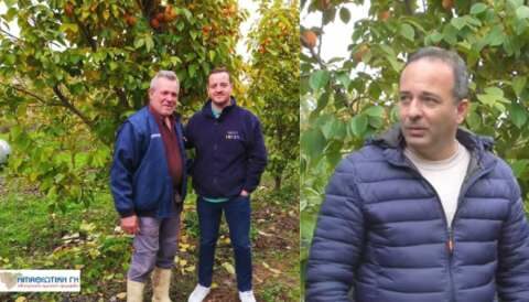 &Eta; &pi;&rho;&omicron;&sigma;&omicron;&delta;&omicron;&phi;ό&rho;&alpha; &kappa;&alpha;&lambda;&lambda;&iota;έ&rho;&gamma;&epsilon;&iota;&alpha; &mu;&epsilon; &epsilon;&lambda;ά&chi;&iota;&sigma;&tau;&epsilon;&sigmaf; &alpha;&pi;&alpha;&iota;&tau;ή&sigma;&epsilon;&iota;&sigmaf; - &Beta;ί&nu;&tau;&epsilon;&omicron;  &Eta;&Mu;&Alpha;&Theta;&Iota;&Omega;&Tau;&Iota;&Kappa;&Eta; &Gamma;&Eta;