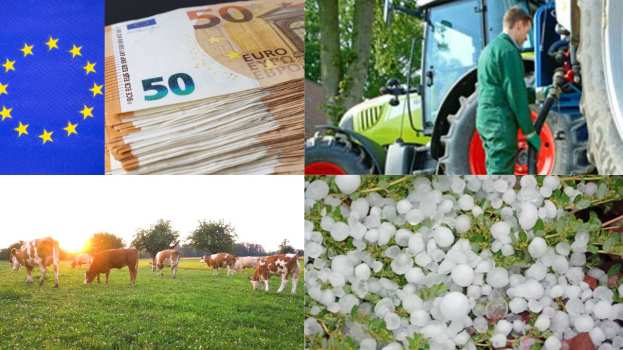 &Epsilon;&Lambda;&Gamma;&Alpha; ,&Omicron;&iota;&kappa;&omicron;&lambda;&omicron;&gamma;&iota;&kappa;ά &sigma;&chi;ή&mu;&alpha;&tau;&alpha;, &pi;&epsilon;&tau;&rho;έ&lambda;&alpha;&iota;&alpha; &kappa;&alpha;&iota; &pi;&omicron;&lambda;&epsilon;&mu;&omicron;&epsilon;&nu;&iota;&sigma;&chi;ύ&sigma;&epsilon;&iota;&sigmaf; - Έ&nu;&tau;&omicron;&nu;&eta; &alpha;&nu;&eta;&sigma;&upsilon;&chi;ί&alpha; &tau;&omega;&nu; &alpha;&gamma;&rho;&omicron;&tau;ώ&nu; &gamma;&iota;&alpha; &kappa;&alpha;&theta;&upsilon;&sigma;&tau;έ&rho;&eta;&sigma;&eta; &pi;&lambda;&eta;&rho;&omega;&mu;ώ&nu;