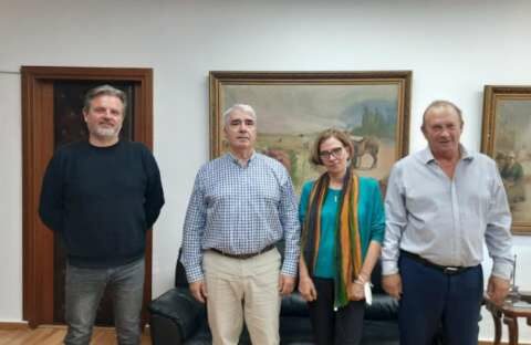 &Upsilon;&phi;&Alpha;&Alpha;&Tau;, &Sigma;. &Kappa;&epsilon;&delta;ί&kappa;&omicron;&gamma;&lambda;&omicron;&upsilon;: &Sigma;&tau;&rho;&alpha;&tau;&eta;&gamma;&iota;&kappa;ή&sigmaf; &sigma;&eta;&mu;&alpha;&sigma;ί&alpha;&sigmaf; &omicron; &alpha;&lambda;&iota;&epsilon;&upsilon;&tau;&iota;&kappa;ό&sigmaf; &kappa;&lambda;ά&delta;&omicron;&sigmaf;