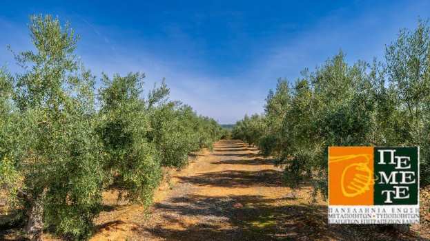 &Eta; &epsilon;&upsilon;&rho;&omega;&pi;&alpha;ϊ&kappa;ή &beta;&iota;&omicron;&mu;&eta;&chi;&alpha;&nu;ί&alpha; &epsilon;&pi;&iota;&tau;&rho;&alpha;&pi;έ&zeta;&iota;&omega;&nu; &epsilon;&lambda;&iota;ώ&nu; &alpha;&nu;&tau;&iota;&tau;ί&theta;&epsilon;&tau;&alpha;&iota; &sigma;&tau;&eta; &sigma;&upsilon;&mu;&phi;&omega;&nu;ί&alpha; &Epsilon;&Epsilon;&ndash;Mercosur