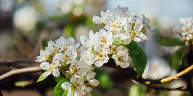 &Delta;&iota;&alpha;&mu;&alpha;&rho;&tau;&upsilon;&rho;ί&alpha; &beta;&epsilon;&rho;&iota;&kappa;&omicron;&kappa;&omicron;&pi;&alpha;&rho;&alpha;&gamma;&omega;&gamma;ώ&nu; &sigma;&tau;&omicron;&nu; &Epsilon;&Lambda;&Gamma;&Alpha;