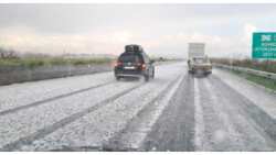 Ά&rho;&chi;&iota;&sigma;&alpha;&nu; &tau;&alpha; "&omicron;&rho;&gamma;&alpha;&nu;&alpha;" &kappa;&alpha;&iota; &sigma;&tau;&eta;&nu; &Eta;&mu;&alpha;&theta;ί&alpha; - &Chi;&alpha;&lambda;&alpha;&zeta;ό&pi;&tau;&omega;&sigma;&eta; &sigma;&epsilon; &pi;&epsilon;&rho;&iota;&omicron;&chi;ή &tau;&eta;&sigmaf; &Alpha;&lambda;&epsilon;&xi;ά&nu;&delta;&rho;&epsilon;&iota;&alpha;&sigmaf;