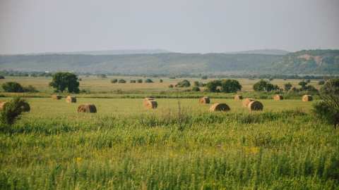 &Alpha;&Alpha;&Delta;&Epsilon;-myAGRO: A&pi;&lambda;&omicron;&upsilon;&sigma;&tau;&epsilon;ύ&sigma;&epsilon;&iota;&sigmaf; &sigma;&tau;&eta;&nu; &upsilon;&pi;&omicron;&beta;&omicron;&lambda;ή &tau;&eta;&sigmaf; &Epsilon;&nu;&iota;&alpha;ί&alpha;&sigmaf; &Alpha;ί&tau;&eta;&sigma;&eta;&sigmaf; &Epsilon;&nu;ί&sigma;&chi;&upsilon;&sigma;&eta;&sigmaf; - &Sigma;&epsilon; &delta;&iota;&alpha;&rho;&kappa;ή &epsilon;&pi;&iota;&kappa;&omicron;&iota;&nu;&omega;&nu;ί&alpha; &mu;&epsilon; &Epsilon;&Theta;&Epsilon;&Alpha;&Sigma; &kappa;&alpha;&iota; &Gamma;&Epsilon;&Omega;&Tau;&Epsilon;&Epsilon;