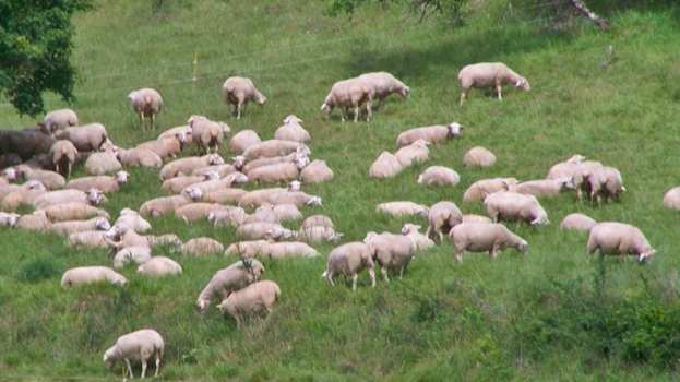 &Tau;&sigma;&iota;ά&rho;&alpha;&sigmaf; &sigma;&tau;&eta;&nu; &Epsilon;&Rho;&Tau;NEWS: &Sigma;&tau;ό&chi;&omicron;&sigmaf; &nu;&alpha; &kappa;&lambda;&epsilon;ί&sigma;&omicron;&upsilon;&mu;&epsilon; &tau;&omicron;&nu; &kappa;ύ&kappa;&lambda;&omicron; &tau;&eta;&sigmaf; &epsilon;&upsilon;&lambda;&omicron;&gamma;&iota;ά&sigmaf; &chi;&omega;&rho;ί&sigmaf; &epsilon;&mu;&beta;&omicron;&lambda;&iota;&alpha;&sigma;&mu;ό