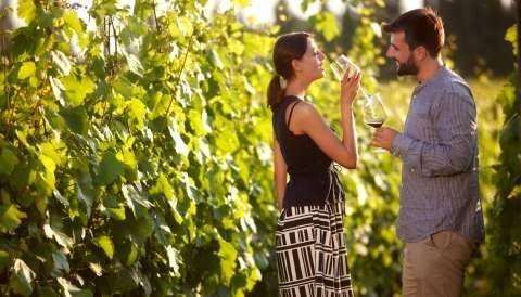 &Xi;&epsilon;&chi;&omega;&rho;&iota;&sigma;&tau;ή &gamma;&iota;&omicron;&rho;&tau;ή &tau;&omicron;&upsilon; &omicron;&iota;&nu;&iota;&kappa;&omicron;ύ &kappa;&lambda;ά&delta;&omicron;&upsilon; &kappa;&alpha;&iota; &tau;&omega;&nu; &phi;ί&lambda;&omega;&nu; &tau;&omicron;&upsilon; &kappa;&rho;&alpha;&sigma;&iota;&omicron;ύ &eta; &Pi;&alpha;&gamma;&kappa;ό&sigma;&mu;&iota;&alpha; &Eta;&mu;έ&rho;&alpha; &Omicron;&iota;&nu;&omicron;&tau;&omicron;&upsilon;&rho;&iota;&sigma;&mu;&omicron;ύ