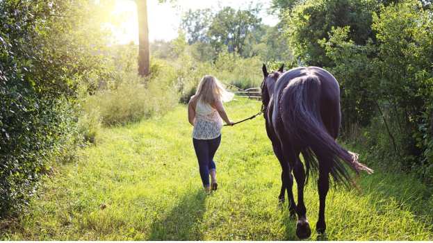 &Alpha;&pi;&alpha;&gamma;ό&rho;&epsilon;&upsilon;&sigma;&eta; &tau;&eta;&sigmaf; &epsilon;&rho;&gamma;&alpha;&sigma;ί&alpha;&sigmaf; &kappa;&alpha;&iota; &tau;&eta;&sigmaf; &mu;&epsilon;&tau;&alpha;&phi;&omicron;&rho;ά&sigmaf; &tau;&omega;&nu; &iota;&pi;&pi;&omicron;&epsilon;&iota;&delta;ώ&nu; &sigma;&epsilon; &sigma;&upsilon;&nu;&theta;ή&kappa;&epsilon;&sigmaf; &kappa;&alpha;ύ&sigma;&omega;&nu;&alpha;