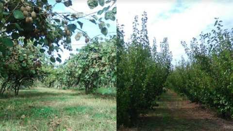 &Pi;&omega;&lambda;&epsilon;ί&tau;&alpha;&iota; &alpha;&gamma;&rho;&omicron;&tau;&epsilon;&mu;ά&chi;&iota;&omicron; 17 &sigma;&tau;&rho;&epsilon;&mu;&mu;ά&tau;&omega;&nu; &mu;&epsilon; &alpha;&kappa;&tau;&iota;&nu;ί&delta;&iota;&alpha; &kappa;&alpha;&iota; &beta;&epsilon;&rho;ί&kappa;&omicron;&kappa;&alpha;