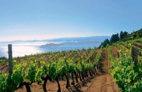 &Gamma;&epsilon;&omega;&rho;&gamma;&iota;&kappa;έ&sigmaf; &pi;&rho;&omicron;&epsilon;&iota;&delta;&omicron;&pi;&omicron;&iota;ή&sigma;&epsilon;&iota;&sigmaf; &gamma;&iota;&alpha; &tau;&omicron; &Alpha;&mu;&pi;έ&lambda;&iota;