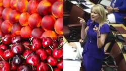 &Tau;&zeta;ά&kappa;&rho;&eta;: &Alpha;&nu;&alpha;&kappa;&omicron;&iota;&nu;ώ&sigma;&tau;&epsilon; &epsilon;&pi;&iota;&tau;έ&lambda;&omicron;&upsilon;&sigmaf; &tau;&iota;&sigmaf; &pi;&omicron;&iota;&kappa;&iota;&lambda;ί&epsilon;&sigmaf; &sigma;&epsilon; &rho;&omicron;&delta;ά&kappa;&iota;&nu;&alpha;, &beta;&epsilon;&rho;ί&kappa;&omicron;&kappa;&alpha;, &mu;ή&lambda;&alpha; &kappa;&alpha;&iota; &pi;&rho;&omicron;&sigma;&theta;έ&sigma;&tau;&epsilon; &sigma;&tau;&iota;&sigmaf; &epsilon;&nu;&iota;&sigma;&chi;ύ&sigma;&epsilon;&iota;&sigmaf; &kappa;&epsilon;&rho;ά&sigma;&iota;&alpha;, &delta;&alpha;&mu;ά&sigma;&kappa;&eta;&nu;&alpha;, &alpha;&kappa;&tau;&iota;&nu;ί&delta;&iota;&alpha;, &lambda;&omega;&tau;&omicron;ύ&sigmaf;