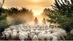 &Alpha;&nu;&tau;ί&theta;&epsilon;&tau;&omicron;&iota; &omicron;&iota; &Kappa;&tau;&eta;&nu;&omicron;&tau;&rho;&omicron;&phi;&iota;&kappa;&omicron;ί &Sigma;ύ&lambda;&lambda;&omicron;&gamma;&omicron;&iota; &tau;&eta;&sigmaf; &Alpha;&nu;&alpha;&tau;&omicron;&lambda;&iota;&kappa;ή&sigmaf; &Mu;&alpha;&kappa;&epsilon;&delta;&omicron;&nu;ί&alpha;&sigmaf; &Theta;&rho;ά&kappa;&eta;&sigmaf; &sigma;&tau;&omicron; &pi;&lambda;&alpha;&phi;ό&nu; &sigma;&tau;&alpha; &alpha;&mu;&nu;&omicron;&epsilon;&rho;ί&phi;&iota;&alpha;