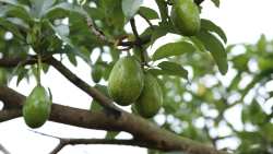 &Kappa;&alpha;&lambda;&lambda;&iota;έ&rho;&gamma;&epsilon;&iota;&alpha; &alpha;&beta;&omicron;&kappa;ά&nu;&tau;&omicron; &kappa;&alpha;&iota; &pi;&rho;&omicron;&omicron;&pi;&tau;&iota;&kappa;έ&sigmaf; - &Pi;&omicron;&iota;&epsilon;&sigmaf; &omicron;&iota; &kappa;&alpha;&tau;ά&lambda;&lambda;&eta;&lambda;&epsilon;&sigmaf; &sigma;&upsilon;&nu;&theta;ή&kappa;&epsilon;&sigmaf; &gamma;&iota;&alpha; &tau;&eta; &ldquo;&sigma;&omicron;ύ&pi;&epsilon;&rho; &tau;&rho;&omicron;&phi;ή&rdquo;