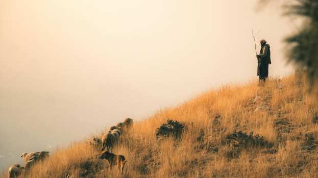 &Phi;&upsilon;&lambda;ά&kappa;&iota;&sigma;&eta; 6 &mu;&eta;&nu;ώ&nu; &sigma;&epsilon; 57&chi;&rho;&omicron;&nu;&omicron; &pi;&omicron;&upsilon; &beta;&omicron;&sigma;&kappa;&omicron;ύ&sigma;&epsilon; &alpha;&iota;&gamma;&omicron;&pi;&rho;ό&beta;&alpha;&tau;&alpha; &chi;&omega;&rho;ί&sigmaf; &epsilon;&nu;ώ&tau;&iota;&alpha; &kappa;&alpha;&iota; &epsilon;&mu;&beta;&omicron;&lambda;&iota;&alpha;&sigma;&mu;ό