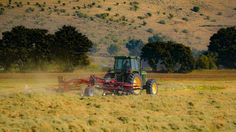 &Omicron;&iota; &upsilon;&pi;&eta;&rho;&epsilon;&sigma;ί&epsilon;&sigmaf; &sigma;&tau;&epsilon;&nu;ά&zeta;&omicron;&upsilon;&nu;, &tau;&alpha; &ldquo;&mu;&alpha;&xi;&iota;&lambda;ά&rho;&iota;&alpha;&rdquo; &phi;&omicron;&upsilon;&sigma;&kappa;ώ&nu;&omicron;&upsilon;&nu;. &Eta; &Pi;&Omicron;&Gamma;&Epsilon;&Delta;&Upsilon; &zeta;&eta;&tau;ά &alpha;&pi;&alpha;&nu;&tau;ή&sigma;&epsilon;&iota;&sigmaf;
