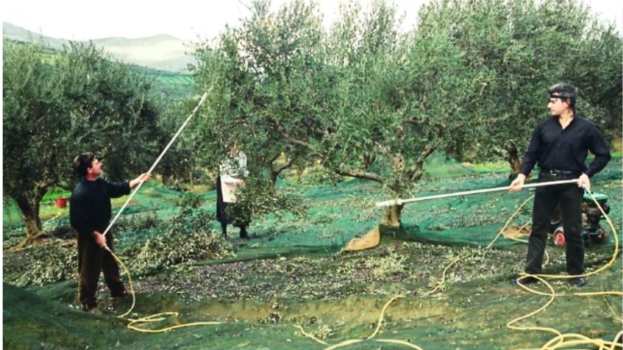 &Epsilon;&sigma;&pi;&epsilon;&rho;ί&delta;&alpha;: &laquo;&Pi;&alpha;&rho;&epsilon;&lambda;&theta;ό&nu;, &Pi;&alpha;&rho;ό&nu; &kappa;&alpha;&iota; &Mu;έ&lambda;&lambda;&omicron;&nu; &Epsilon;&lambda;&iota;ά&sigmaf; &kappa;&alpha;&iota; &Epsilon;&lambda;&alpha;&iota;&omicron;&lambda;ά&delta;&omicron;&upsilon;&raquo;