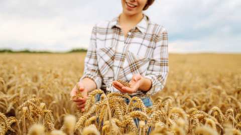 "&Eta; &Gamma;&upsilon;&nu;&alpha;ί&kappa;&alpha; &Gamma;&epsilon;&omega;&pi;ό&nu;&omicron;&sigmaf; &sigma;&tau;&omicron;&nu; &Alpha;&gamma;&rho;&omicron;&tau;&iota;&kappa;ό &tau;&omicron;&mu;έ&alpha;" - Ά&rho;&theta;&rho;&omicron; &tau;&eta;&sigmaf; &Alpha;&nu;&alpha;&sigma;&tau;&alpha;&sigma;ί&alpha;&sigmaf; &Pi;&alpha;&pi;&alpha;&delta;&omicron;&pi;&omicron;ύ&lambda;&omicron;&upsilon;