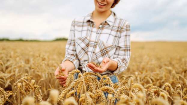 "&Eta; &Gamma;&upsilon;&nu;&alpha;ί&kappa;&alpha; &Gamma;&epsilon;&omega;&pi;ό&nu;&omicron;&sigmaf; &sigma;&tau;&omicron;&nu; &Alpha;&gamma;&rho;&omicron;&tau;&iota;&kappa;ό &tau;&omicron;&mu;έ&alpha;" - Ά&rho;&theta;&rho;&omicron; &tau;&eta;&sigmaf; &Alpha;&nu;&alpha;&sigma;&tau;&alpha;&sigma;ί&alpha;&sigmaf; &Pi;&alpha;&pi;&alpha;&delta;&omicron;&pi;&omicron;ύ&lambda;&omicron;&upsilon;