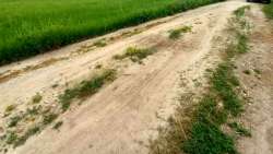 &Alpha;&gamma;&rho;&omicron;&tau;&iota;&kappa;&omicron;ί &delta;&rho;ό&mu;&omicron;&iota; ώ&rho;&alpha; &mu;&eta;&delta;έ&nu; - &Alpha;&nu;&alpha;&kappa;&omicron;ί&nu;&omega;&sigma;&eta; &Alpha;&gamma;&rho;&omicron;&tau;&iota;&kappa;&omicron;ύ &Sigma;&upsilon;&lambda;&lambda;ό&gamma;&omicron;&upsilon; &Tau;&upsilon;&rho;&nu;ά&beta;&omicron;&upsilon;