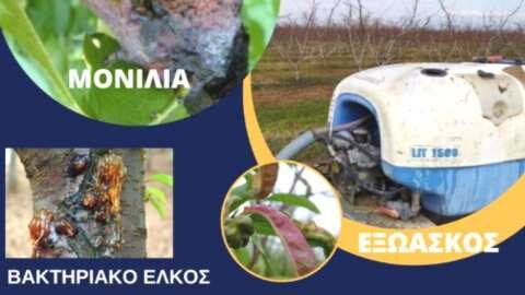 &Alpha;&gamma;&rho;&omicron;&tau;&iota;&kappa;ά &nu;έ&alpha; - &Gamma;&epsilon;&omega;&rho;&gamma;&iota;&kappa;έ&sigmaf; &pi;&rho;&omicron;&epsilon;&iota;&delta;&omicron;&pi;&omicron;&iota;ή&sigma;&epsilon;&iota;&sigmaf; &gamma;&iota;&alpha; &Pi;&upsilon;&rho;&eta;&nu;ό&kappa;&alpha;&rho;&pi;&alpha; &kappa;&alpha;&iota; &Gamma;&iota;&gamma;&alpha;&rho;&tau;ό&kappa;&alpha;&rho;&pi;&alpha;