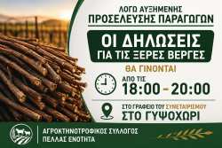 &Pi;έ&lambda;&lambda;&alpha;:  &Kappa;ά&lambda;&epsilon;&sigma;&mu;&alpha; &gamma;&iota;&alpha; &kappa;&alpha;&tau;&alpha;&gamma;&rho;&alpha;&phi;ή &tau;&omega;&nu; &zeta;&eta;&mu;&iota;ώ&nu; &sigma;&epsilon; &rho;&omicron;&delta;&alpha;&kappa;&iota;&nu;&iota;έ&sigmaf; &kappa;&alpha;&iota; &beta;&epsilon;&rho;&iota;&kappa;&omicron;&kappa;&iota;έ&sigmaf; (&Xi;&epsilon;&rho;έ&sigmaf; &beta;έ&rho;&gamma;&epsilon;&sigmaf;)