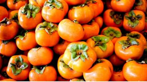 &Omicron;&iota;&kappa;&omicron;&nu;&omicron;&mu;&iota;&kappa;ή &epsilon;&nu;ί&sigma;&chi;&upsilon;&sigma;&eta; &tau;&omega;&nu; &pi;&alpha;&rho;&alpha;&gamma;&omega;&gamma;ώ&nu; &lambda;&omega;&tau;ώ&nu; &zeta;&eta;&tau;&epsilon;ί &omicron; &Iota;&omicron;&rho;&delta;ά&nu;&eta;&sigmaf; &Tau;&zeta;&alpha;&mu;&tau;&zeta;ή&sigmaf;, &alpha;&pi;ό &tau;&omicron;&nu; &Upsilon;&Pi;.&Alpha;.&Alpha;.&Tau;.