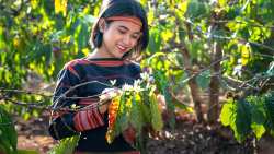 &Mu;ή&nu;&upsilon;&mu;&alpha; &Upsilon;&pi;&Alpha;&Alpha;&Tau;, &Kappa;ώ&sigma;&tau;&alpha; &Tau;&sigma;&iota;ά&rho;&alpha; &gamma;&iota;&alpha; &tau;&eta; &delta;&iota;&epsilon;&theta;&nu;ή &Eta;&mu;έ&rho;&alpha; &Alpha;&gamma;&rho;ό&tau;&iota;&sigma;&sigma;&alpha;&sigmaf;