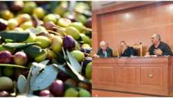 &Sigma;&upsilon;&sigma;&tau;ά&theta;&eta;&kappa;&epsilon; &sigma;&epsilon; &sigma;ώ&mu;&alpha; &tau;&omicron; &pi;&rho;ώ&tau;&omicron; &Delta;&Sigma; &tau;&eta;&sigmaf; &Pi;&Epsilon;&Sigma;&Omicron;&Epsilon;&Epsilon; - &Pi;&rho;ό&epsilon;&delta;&rho;&omicron;&sigmaf; &omicron; &Alpha;&nu;έ&sigma;&tau;&eta;&sigmaf; &Mu;&alpha;&upsilon;&rho;&omicron;&epsilon;&iota;&delta;ή&sigmaf;