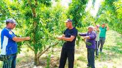 &Epsilon;&rho;&gamma;ά&tau;&epsilon;&sigmaf; &Gamma;&eta;&sigmaf;: 16 &Alpha;&gamma;&rho;&omicron;&tau;&iota;&kappa;&omicron;ί &Sigma;ύ&lambda;&lambda;&omicron;&gamma;&omicron;&iota; &Epsilon;&lambda;&lambda;ά&delta;&alpha;&sigmaf; "&Phi;&omega;&nu;ά&zeta;&omicron;&upsilon;&nu;" &gamma;&iota;&alpha; &tau;&omicron; &pi;&rho;ό&beta;&lambda;&eta;&mu;&alpha; - &Kappa;&omicron;&iota;&nu;ή &epsilon;&pi;&iota;&sigma;&tau;&omicron;&lambda;ή &tau;&omicron;&upsilon;&sigmaf; &sigma;&tau;&omicron;&nu; &Upsilon;&pi;&omicron;&upsilon;&rho;&gamma;ό &Mu;&epsilon;&tau;&alpha;&nu;ά&sigma;&tau;&epsilon;&upsilon;&sigma;&eta;&sigmaf;