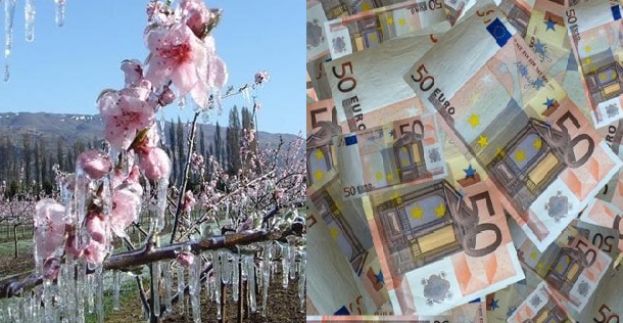 &Pi;&alpha;&gamma;&epsilon;&tau;ό&sigmaf;: &Pi;ό&tau;&epsilon; &kappa;&omicron;&iota;&nu;&omicron;&pi;&omicron;&iota;&omicron;ύ&nu;&tau;&alpha;&iota; &tau;&alpha; &pi;&omicron;&rho;ί&sigma;&mu;&alpha;&tau;&alpha; &kappa;&alpha;&iota; &pi;&lambda;&eta;&rho;ώ&nu;&omicron;&nu;&tau;&alpha;&iota; &omicron;&iota; &alpha;&pi;&omicron;&zeta;&eta;&mu;&iota;ώ&sigma;&epsilon;&iota;&sigmaf; &ndash; &Tau;&iota; &gamma;ί&nu;&epsilon;&tau;&alpha;&iota; &mu;&epsilon; &epsilon;&nu;&sigma;&tau;ά&sigma;&epsilon;&iota;&sigmaf;(2020) &kappa;&alpha;&iota; &Pi;&Sigma;&Epsilon;&Alpha; (2019)