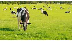 &Epsilon;&kappa;&pi;ό&nu;&eta;&sigma;&eta; &Delta;&iota;&alpha;&chi;&epsilon;&iota;&rho;&iota;&sigma;&tau;&iota;&kappa;ώ&nu; &Sigma;&chi;e&delta;ί&omega;&nu; &Beta;ό&sigma;&kappa;&eta;&sigma;&eta;&sigmaf;: &Epsilon;&pi;&iota;&sigma;&tau;&omicron;&lambda;ή &Upsilon;&pi;&Alpha;&Alpha;&Tau; &sigma;&tau;&omicron;&upsilon;&sigmaf; 13 &Pi;&epsilon;&rho;&iota;&phi;&epsilon;&rho;&epsilon;&iota;ά&rho;&chi;&epsilon;&sigmaf;