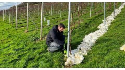 &Omicron;&iota;&kappa;&omicron;&lambda;&omicron;&gamma;&iota;&kappa;ή &kappa;&alpha;&iota; &omicron;&iota;&kappa;&omicron;&nu;&omicron;&mu;&iota;&kappa;ή &lambda;ύ&sigma;&eta;: &Mu;&alpha;&lambda;&lambda;ί &pi;&rho;&omicron;&beta;ά&tau;&omicron;&upsilon; &omega;&sigmaf; &lambda;ί&pi;&alpha;&sigma;&mu;&alpha;