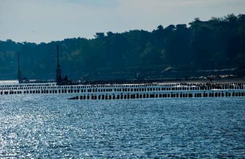 &Sigma;&upsilon;&nu;ά&nu;&tau;&eta;&sigma;&eta; &Upsilon;&phi;&Alpha;&Alpha;&Tau;, &Sigma;. &Kappa;&epsilon;&delta;ί&kappa;&omicron;&gamma;&lambda;&omicron;&upsilon; &mu;&epsilon; &mu;&upsilon;&delta;&omicron;&kappa;&alpha;&lambda;&lambda;&iota;&epsilon;&rho;&gamma;&eta;&tau;έ&sigmaf; &gamma;&iota;&alpha; &tau;&eta;&nu; &epsilon;&pi;ί&lambda;&upsilon;&sigma;&eta; &pi;&rho;&omicron;&beta;&lambda;&eta;&mu;ά&tau;&omega;&nu; &tau;&omicron;&upsilon; &kappa;&lambda;ά&delta;&omicron;&upsilon;