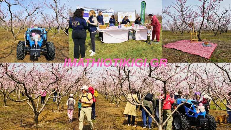 &Alpha;&nu;&theta;&iota;&sigma;&mu;έ&nu;&epsilon;&sigmaf; &rho;&omicron;&delta;&alpha;&kappa;&iota;&nu;&iota;έ&sigmaf;, &mu;&omicron;&upsilon;&sigma;&iota;&kappa;ή &kappa;&alpha;&iota; &chi;&alpha;&mu;ό&gamma;&epsilon;&lambda;&alpha; &sigma;&tau;&eta; &ldquo;&Mu;έ&sigma;&eta;&rdquo; &tau;&omicron;&upsilon; &rho;&omicron;&zeta; &mu;&epsilon; &sigma;&tau;&omicron;&lambda;&iota;&sigma;&mu;έ&nu;&alpha; &tau;&rho;&alpha;&kappa;&tau;έ&rho; &sigma;&tau;&omicron; &chi;&omega;&rho;ά&phi;&iota;