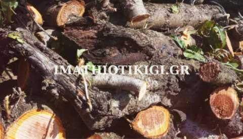 &Upsilon;&Pi;&Alpha;&Nu;: &Delta;ή&lambda;&omega;&sigma;&eta; &alpha;&pi;&omicron;&theta;&epsilon;&mu;ά&tau;&omega;&nu; &sigma;&tau;&epsilon;&rho;&epsilon;ώ&nu; &kappa;&alpha;&upsilon;&sigma;ί&mu;&omega;&nu; &pi;&omicron;&upsilon; &pi;&rho;&omicron;&omicron;&rho;ί&zeta;&omicron;&nu;&tau;&alpha;&iota; &gamma;&iota;&alpha; &tau;&eta; &theta;έ&rho;&mu;&alpha;&nu;&sigma;&eta; &chi;ώ&rho;&omega;&nu;