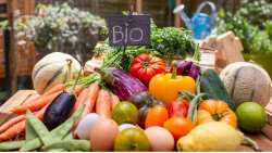 &Alpha;&nu;&alpha;&kappa;&omicron;ί&nu;&omega;&sigma;&eta; &Omicron;&Pi;&Epsilon;&Kappa;&Epsilon;&Pi;&Epsilon; &sigma;&chi;&epsilon;&tau;&iota;&kappa;ά &mu;&epsilon; &tau;&omicron; &Mu;έ&tau;&rho;&omicron; 11 &laquo;&Beta;&iota;&omicron;&lambda;&omicron;&gamma;&iota;&kappa;έ&sigmaf; &kappa;&alpha;&lambda;&lambda;&iota;έ&rho;&gamma;&epsilon;&iota;&epsilon;&sigmaf;&raquo; &tau;&omicron;&upsilon; &Pi;.&Alpha;.&Alpha;. 2014-2020