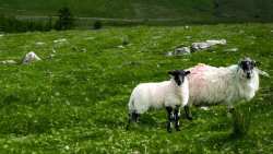 &Upsilon;&Pi;&Alpha;&Alpha;&Tau;: &Delta;&iota;&epsilon;ύ&rho;&upsilon;&nu;&sigma;&eta; &tau;&eta;&sigmaf; &kappa;ά&lambda;&upsilon;&psi;&eta;&sigmaf; &lambda;&epsilon;&iota;&tau;&omicron;&upsilon;&rho;&gamma;&iota;&kappa;ώ&nu; &delta;&alpha;&pi;&alpha;&nu;ώ&nu; &kappa;&alpha;&tau;ά &tau;&eta;&sigmaf; &epsilon;&upsilon;&lambda;&omicron;&gamma;&iota;ά&sigmaf; &kappa;&alpha;&iota; &tau;&omicron;&upsilon; &alpha;&phi;&theta;ώ&delta;&omicron;&upsilon;&sigmaf; &pi;&upsilon;&rho;&epsilon;&tau;&omicron;ύ &sigma;&epsilon; ό&lambda;&epsilon;&sigmaf; &tau;&iota;&sigmaf; &Pi;&epsilon;&rho;&iota;&phi;έ&rho;&epsilon;&iota;&epsilon;&sigmaf; &tau;&eta;&sigmaf; &chi;ώ&rho;&alpha;&sigmaf;