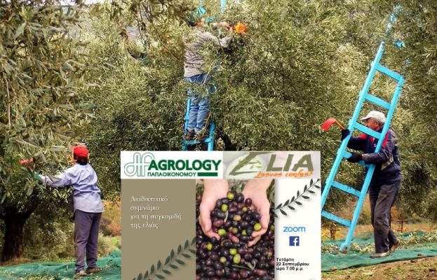 &Eta; &kappa;&alpha;&tau;ά&lambda;&lambda;&eta;&lambda;&eta; &epsilon;&pi;&omicron;&chi;ή &sigma;&upsilon;&gamma;&kappa;&omicron;&mu;&iota;&delta;ή&sigmaf; &tau;&eta;&sigmaf; &epsilon;&lambda;&iota;ά&sigmaf; &amp; &omicron;&iota; &epsilon;&pi;&iota;&pi;&tau;ώ&sigma;&epsilon;&iota;&sigmaf; &sigma;&tau;&eta; &pi;&omicron;&sigma;ό&tau;&eta;&tau;&alpha; &kappa;&alpha;&iota; &tau;&eta;&nu; &pi;&omicron;&iota;ό&tau;&eta;&tau;&alpha; &tau;&omicron;&upsilon; &epsilon;&lambda;&alpha;&iota;&omicron;&lambda;ά&delta;&omicron;&upsilon; (&Delta;&iota;&alpha;&delta;&iota;&kappa;&tau;&upsilon;&alpha;&kappa;ό &sigma;&epsilon;&mu;&iota;&nu;ά&rho;&iota;&omicron; - &Epsilon;&gamma;&gamma;&rho;&alpha;&phi;έ&sigmaf;)