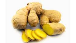 &Tau;&zeta;ί&nu;&tau;&zeta;&epsilon;&rho;: &Beta;ό&tau;&alpha;&nu;&omicron; &gamma;&iota;&alpha; &beta;&alpha;&rho;&upsilon;&sigma;&tau;&omicron;&mu;&alpha;&chi;&iota;ά, &kappa;&rho;&upsilon;&omicron;&lambda;ό&gamma;&eta;&mu;&alpha;, &chi;&omicron;&lambda;&eta;&sigma;&tau;&epsilon;&rho;ί&nu;&eta;, &alpha;&rho;&theta;&rho;ί&tau;&iota;&delta;&alpha;, &delta;&iota;&alpha;&beta;ή&tau;&eta;, &delta;ί&alpha;&iota;&tau;&epsilon;&sigmaf;