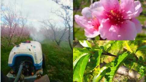 &Alpha;&nu;&tau;&iota;&mu;&epsilon;&tau;ώ&pi;&iota;&sigma;&eta; &mu;&omicron;&nu;ί&lambda;&iota;&alpha;&sigmaf; , &epsilon;&xi;ώ&alpha;&sigma;&kappa;&omicron;&upsilon; &kappa;&alpha;&iota; &kappa;&lambda;&epsilon;&omicron;&nu;&omicron;ύ &sigma;&tau;&eta;&nu; &kappa;&alpha;&lambda;&lambda;&iota;έ&rho;&gamma;&epsilon;&iota;&alpha; &tau;&eta;&sigmaf; &Rho;&omicron;&delta;&alpha;&kappa;&iota;&nu;&iota;ά&sigmaf; | &Alpha;&gamma;&rho;&omicron;&tau;&iota;&kappa;ά &nu;έ&alpha; IMATHIOTIKIGI.GR