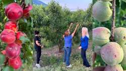 &Epsilon;&rho;ώ&tau;&eta;&sigma;&eta; &Tau;&zeta;ά&kappa;&rho;&eta; &sigma;&tau;&eta; &Beta;&omicron;&upsilon;&lambda;ή &gamma;&iota;&alpha; &tau;&iota;&sigmaf; &zeta;&eta;&mu;&iota;έ&sigmaf; &pi;&omicron;&upsilon; &pi;&rho;&omicron;&kappa;&lambda;ή&theta;&eta;&kappa;&alpha;&nu; &sigma;&epsilon; &kappa;&alpha;&lambda;&lambda;&iota;έ&rho;&gamma;&epsilon;&iota;&epsilon;&sigmaf; &alpha;&pi;ό &tau;&eta; &chi;&alpha;&lambda;&alpha;&zeta;ό&pi;&tau;&omega;&sigma;&eta; &tau;&eta;&sigmaf; 22&alpha;&sigmaf; &Mu;&alpha;ΐ&omicron;&upsilon;