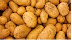 &Pi;&omicron;&iota;&alpha; &phi;&upsilon;&tau;&omicron;&pi;&rho;&omicron;&sigma;&tau;&alpha;&tau;&epsilon;&upsilon;&tau;&iota;&kappa;ά &pi;&rho;&omicron;ϊό&nu;&tau;&alpha; &epsilon;&gamma;&kappa;&rho;ί&nu;&omicron;&nu;&tau;&alpha;&iota; &gamma;&iota;&alpha; &tau;&eta;&nu; &kappa;&alpha;&lambda;&lambda;&iota;έ&rho;&gamma;&epsilon;&iota;&alpha; &tau;&eta;&sigmaf; &pi;&alpha;&tau;ά&tau;&alpha;&sigmaf;