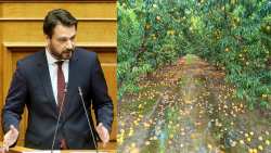 &Omicron;&iota; &alpha;&gamma;&rho;ό&tau;&epsilon;&sigmaf; &pi;&omicron;&upsilon; &epsilon;&pi;&lambda;ή&gamma;&eta;&sigma;&alpha;&nu; &alpha;&pi;ό &tau;&iota;&sigmaf; &beta;&rho;&omicron;&chi;&omicron;&pi;&tau;ώ&sigma;&epsilon;&iota;&sigmaf; &tau;&omicron;&upsilon; &Alpha;&upsilon;&gamma;&omicron;ύ&sigma;&tau;&omicron;&upsilon; 2024 &sigma;&tau;&omicron; &epsilon;&pi;ί&kappa;&epsilon;&nu;&tau;&rho;&omicron; &tau;&eta;&sigmaf; &kappa;&omicron;&iota;&nu;&omicron;&beta;&omicron;&upsilon;&lambda;&epsilon;&upsilon;&tau;&iota;&kappa;ή&sigmaf; &pi;&alpha;&rho;έ&mu;&beta;&alpha;&sigma;&eta;&sigmaf; &tau;&omicron;&upsilon; &Tau;ά&sigma;&omicron;&upsilon; &Mu;&pi;&alpha;&rho;&tau;&zeta;ώ&kappa;&alpha;