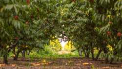 &Kappa;&omicron;&zeta;ά&nu;&eta;: &Sigma;&epsilon; &alpha;&pi;ό&gamma;&nu;&omega;&sigma;&eta; &omicron;&iota; &alpha;&gamma;&rho;ό&tau;&epsilon;&sigmaf; &lambda;ό&gamma;&omega; &tau;&omega;&nu; &zeta;&eta;&mu;&iota;ώ&nu; &alpha;&pi;ό &tau;&iota;&sigmaf; &beta;&rho;&omicron;&chi;&omicron;&pi;&tau;ώ&sigma;&epsilon;&iota;&sigmaf;