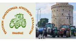 &Alpha;&pi;&omicron;&phi;ά&sigma;&epsilon;&iota;&sigmaf; &sigma;ύ&sigma;&kappa;&epsilon;&psi;&eta;&sigmaf; &pi;&alpha;&nu;&epsilon;&lambda;&lambda;&alpha;&delta;&iota;&kappa;ή&sigmaf; &epsilon;&pi;&iota;&tau;&rho;&omicron;&pi;ή&sigmaf; &mu;&pi;&lambda;ό&kappa;&omega;&nu; &ndash; &Sigma;&upsilon;&lambda;&lambda;&alpha;&lambda;&eta;&tau;ή&rho;&iota;&omicron; &sigma;&tau;&eta;&nu; Agrotica (12/3, 18:00)